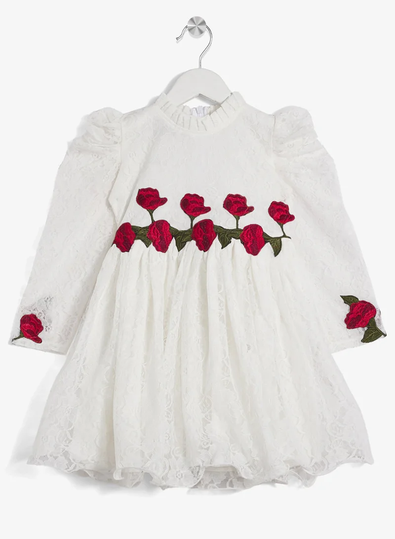 Little Golden Apple Little Lace Rose Dress